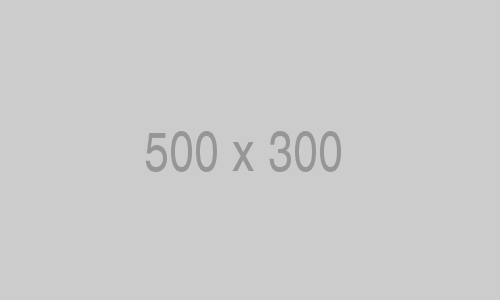 500 x 300 placeholder