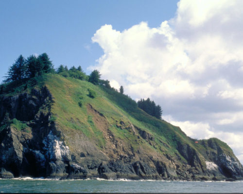 Scenic shot of Cliff overlooking ocean