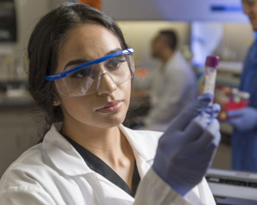 Student examining purple top test tube