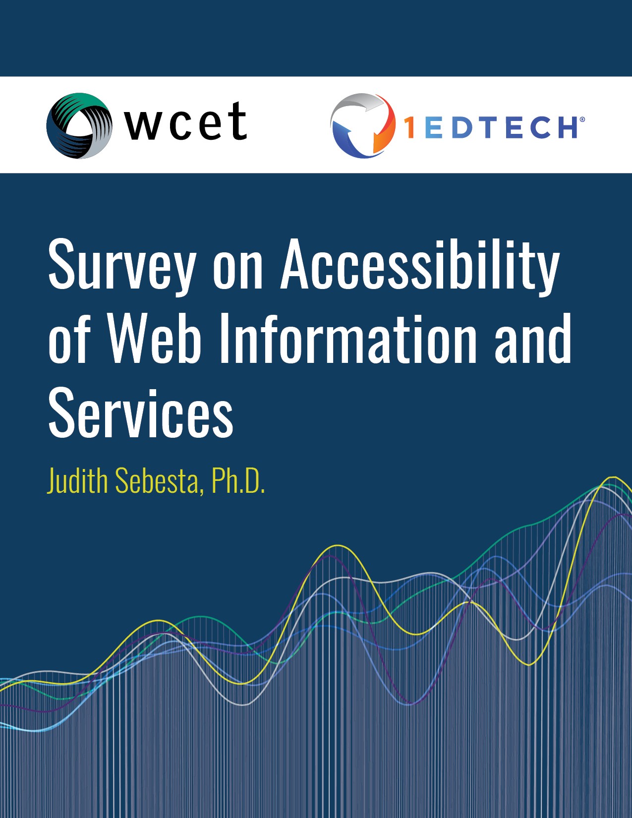 Cover art for Survey on Accessibility of Web Information and Services